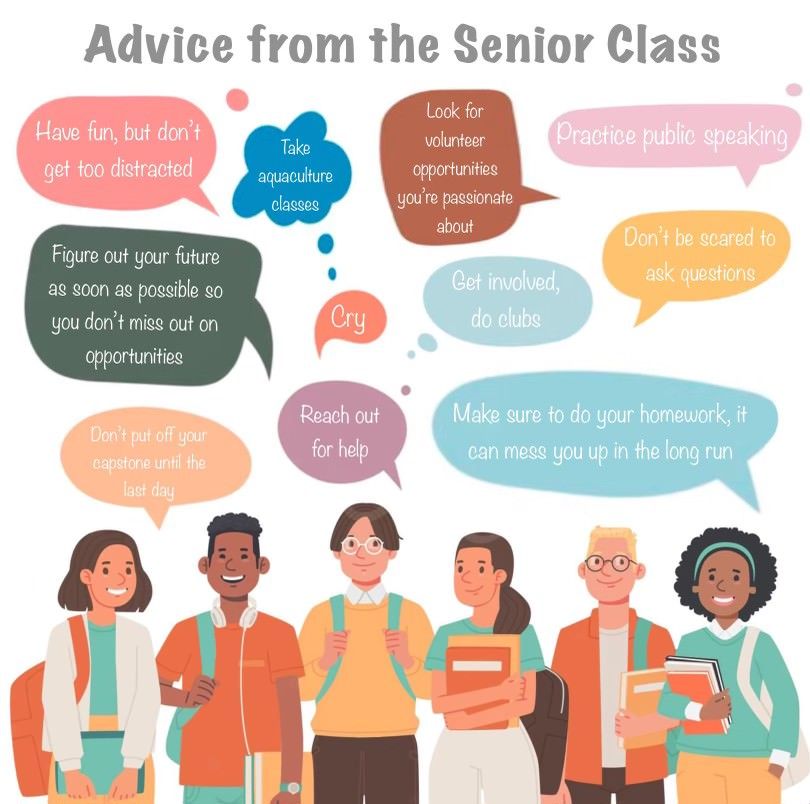 Advice From the Senior Class