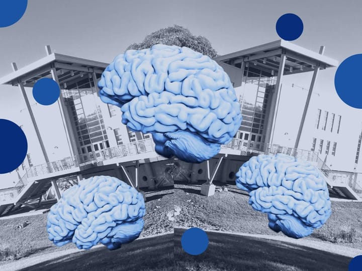 A collage of blue-colored brains floating on a background image of MSMHS.